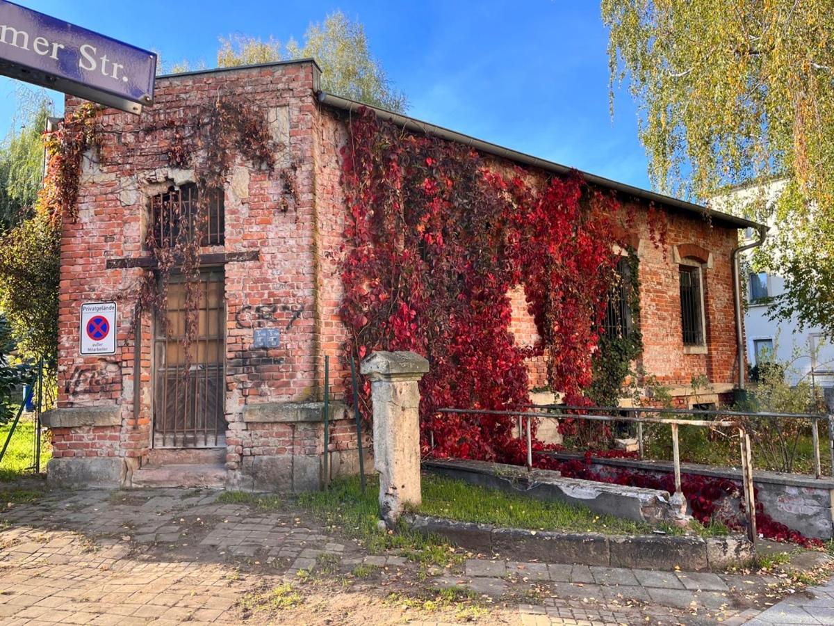 Apartament Gemutliche Oase - Tv, Beamer, Kuche Fur 4 Personen Drezno Zewnętrze zdjęcie